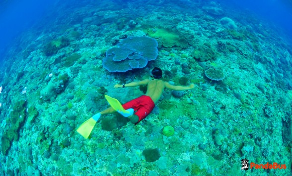 【バリ島】レンボンガン島　バリハイ・ビーチクラブクルーズ＜往復送迎・BBQランチ付き＞